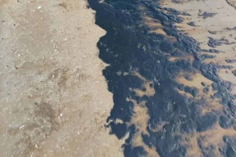 عملیات پاکسازی آلودگی نفتی در گناوه تداوم دارد